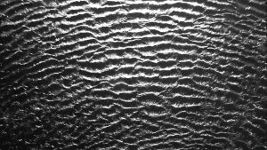 still_Fluids_Dynamic